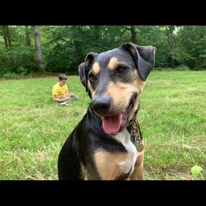 Meet your Posher, Caroline